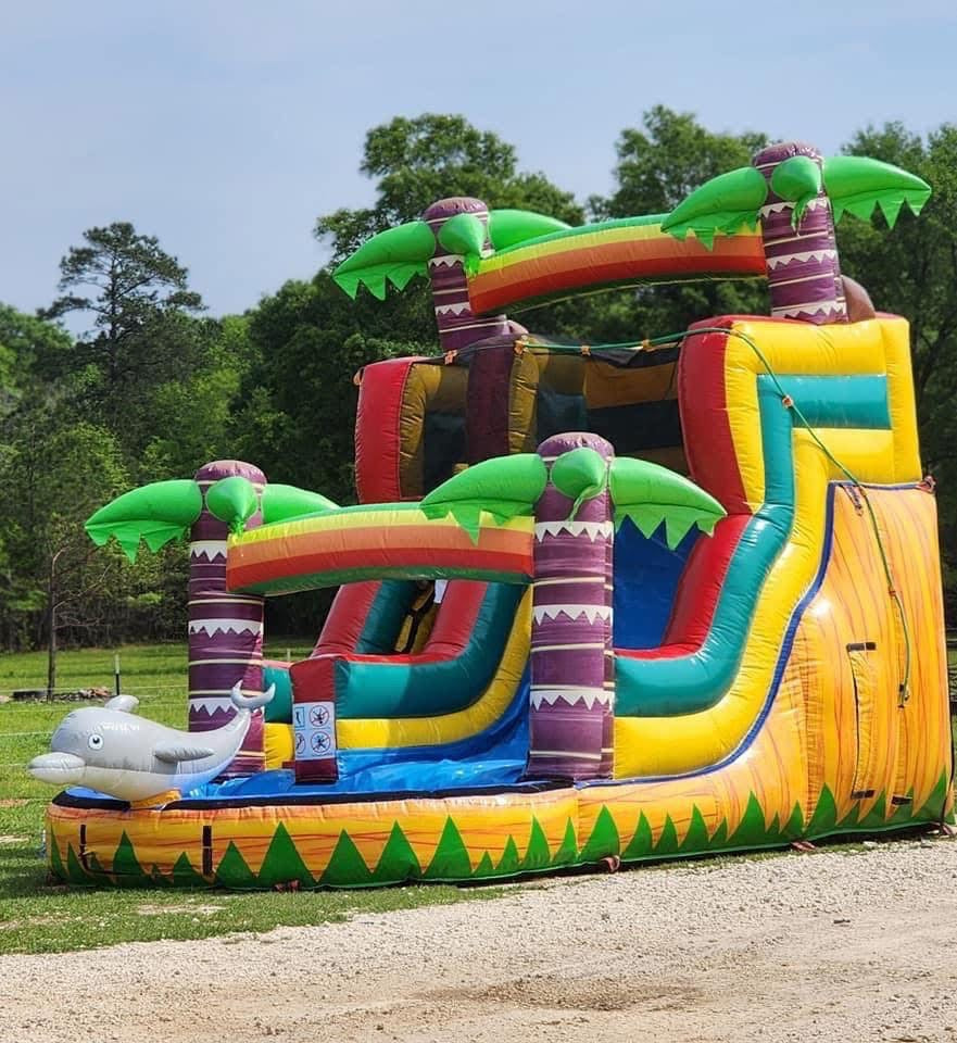 Dolphin Water Slide 14 ft With Pool wet or dry use