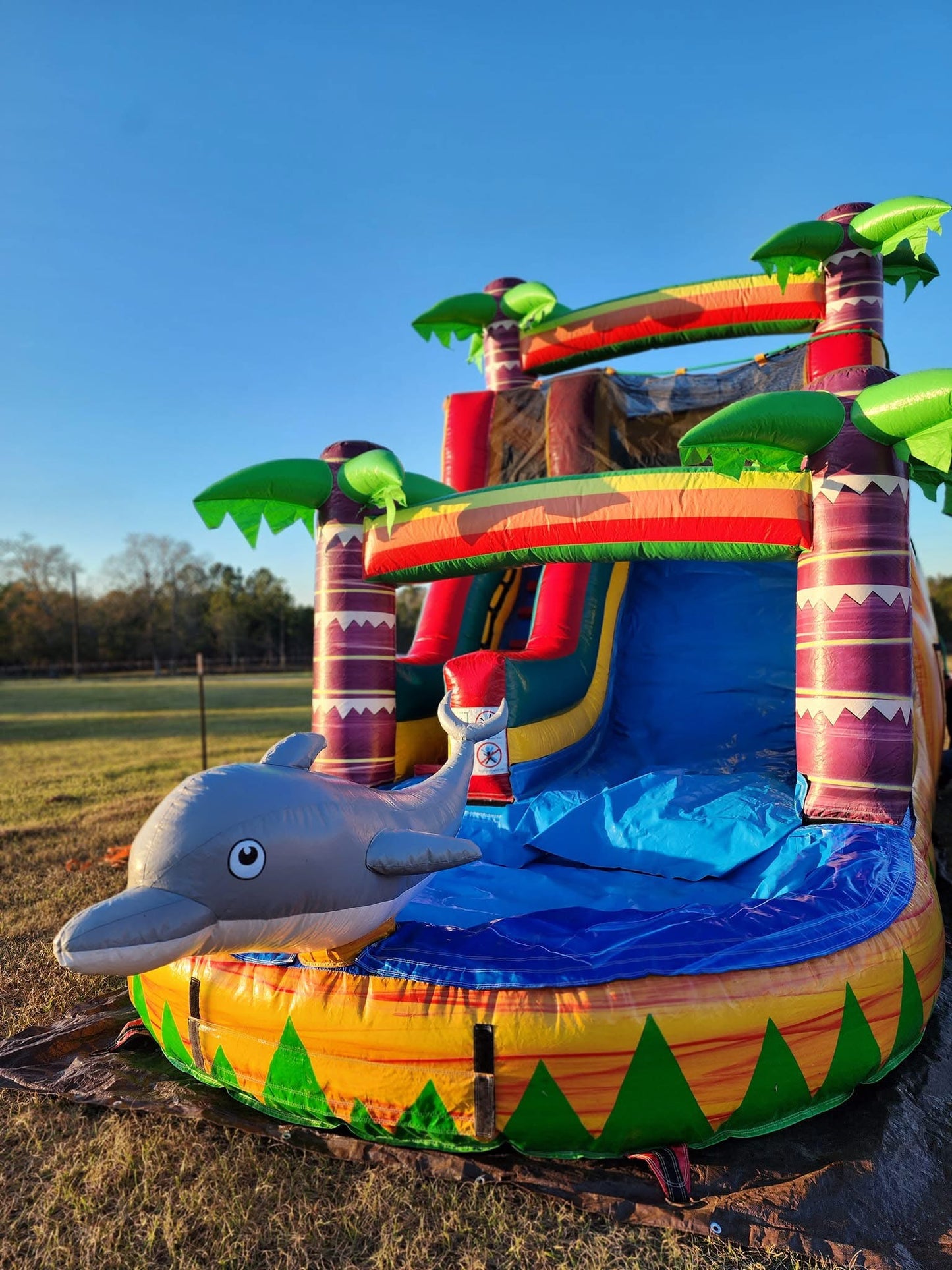 Dolphin Water Slide 14 ft With Pool wet or dry use